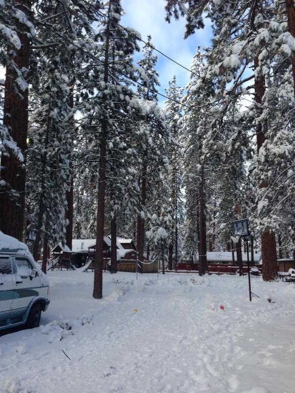 Majestic Moose Lodge - Coptic Village Big Bear Lake Exterior photo