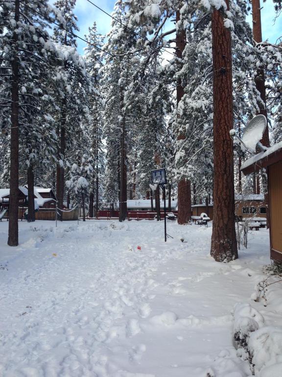 Majestic Moose Lodge - Coptic Village Big Bear Lake Exterior photo