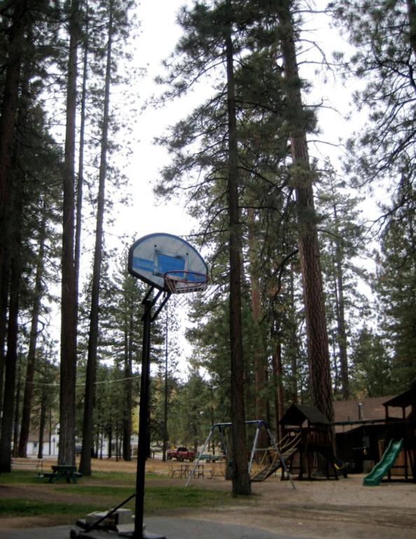 Majestic Moose Lodge - Coptic Village Big Bear Lake Exterior photo